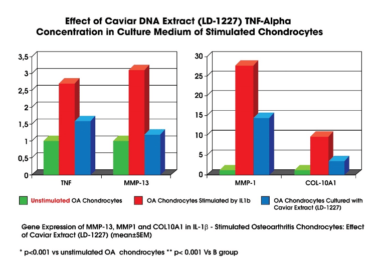 Caviar DNA Extract can significantly lower levels of inflammatory markers like Tumour Necrosis Factor-Alpha