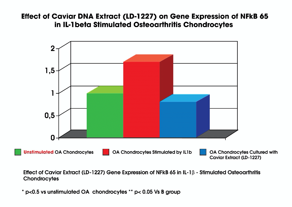 anti-inflammatory potency of Caviarlieri. Is demonstrated by the suppression of NF-kB activation