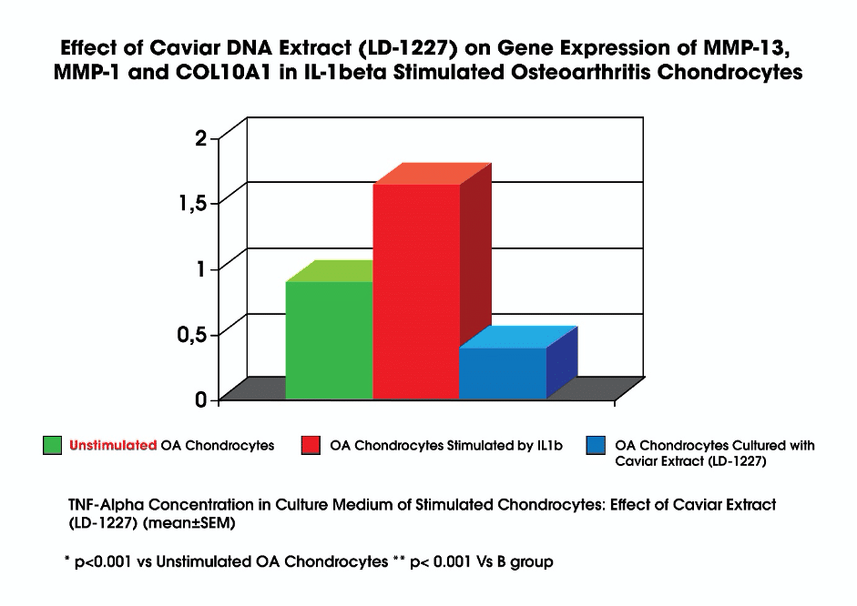 caviar dna extra on gene expression in stimulated osteoarthritis chondrocytes