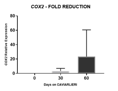 cox2 gene - fold reduction