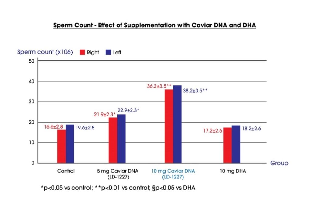 effect of supplement with caviar DNA and DHA on sperm count