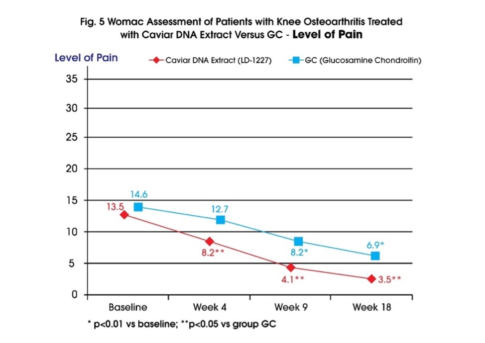 knee osteoarthritis treated with caviar dna extract - level of pain